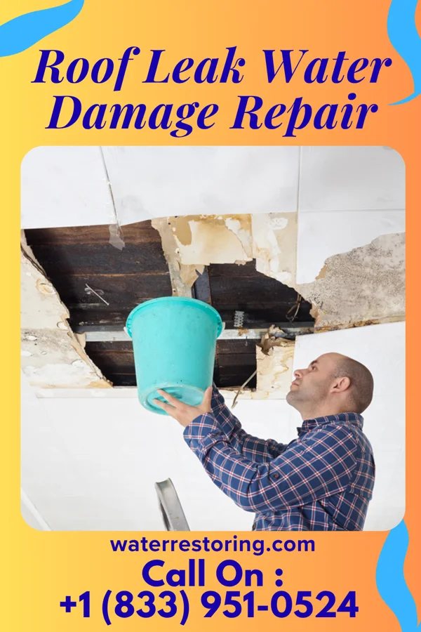 Roof Leak Water Damage Repair in Daniels Farm, CT